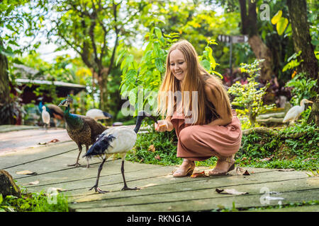 Junge Frau das Füttern einer Afrikanischen heiliger ibis Stockfoto