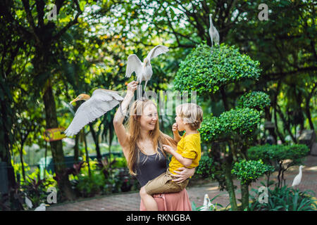 Mutter und Sohn Fütterung ibes im Park. Kleiner Reiher Kuhreiher Bubulcus ibis Waters Edge. Familie verbringt Zeit im Park zusammen Stockfoto