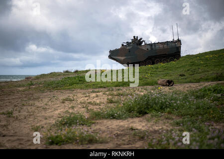 190204-N-LI 768-1073 Camp Pendleton, Calif (Feb. 4, 2019) - ein Japan Masse Verteidigung-kraft amphibisches Fahrzeug fährt bergab während der Übung Iron Fist 2019. Übung Iron Fist 2019 ist eine jährliche, multilateralen Ausbildung Übung, in der US-amerikanischen und japanischen Service Mitglieder Zug zusammen, teilen Techniken, Taktiken und Verfahren ihrer operativen Fähigkeiten kombinieren zu verbessern. (U.S. Marine Foto von Mass Communication Specialist 2. Klasse Devin M. Langer) Stockfoto