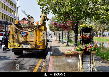 Städtische Arbeiter Bewässerung von Pflanzen, Chiang Mai, Thailand Stockfoto
