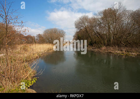 Itchen River fließt durch Winnall Mauren Naturschutzgebiet Hampshire und Isle of Wight Wildlife Trust finden Winchester, Hampshire England UK März 201 Stockfoto