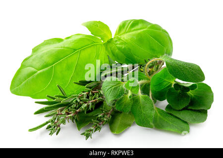 Bündel von frisch gepflückten Kräutern der Provence isoliert auf Weiss. Stockfoto