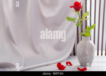 Rote Rose für die Feier der Frauen Feiertage und Jubiläen. Stockfoto