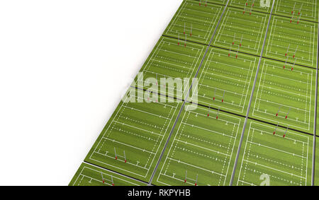 Rugby Pitch mit Linien und Ziele. 3D-Rendering Stockfoto