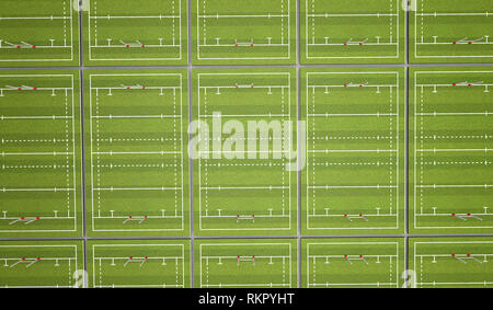 Rugby Pitch mit Linien und Ziele. 3D-Rendering Stockfoto