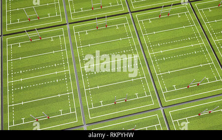 Rugby Pitch mit Linien und Ziele. 3D-Rendering Stockfoto