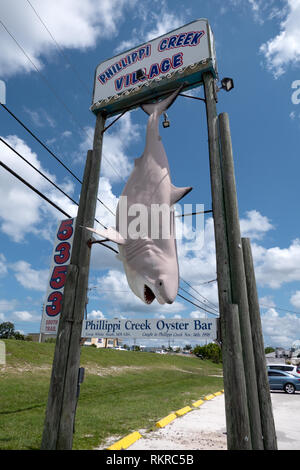 Trophy der Großen Weißen Hai in Phillippi Creek in der Nähe von Sarasota, Florida, USA gefangen am 14. November 1998 Stockfoto