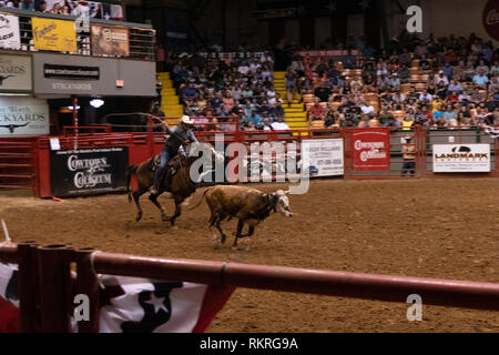 Ein amerikanischer Cowboy, der beim Rodeo im Cowtown Coliseum in den Viehhöfen von Forth Worth, Texas, USA, mit einem Seil oder einem Seil spielt Stockfoto