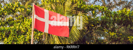 Flagge vor dem Hintergrund der Palmen BANNER, lange Format Stockfoto