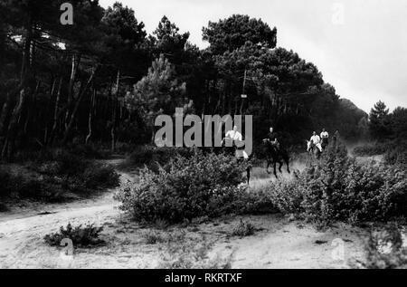 Pinewood, Viareggio, Toskana, Italien 1946 Stockfoto