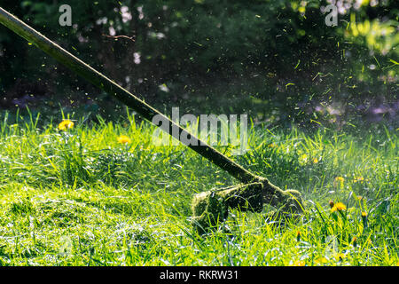 Professionelle Gras mähen im Park. grüne Wiese mit gelben Löwenzahn. aus nächster Nähe erschossen von Benzin trimmer Kopf mit Nylon line Cutting frisches Grün g Stockfoto