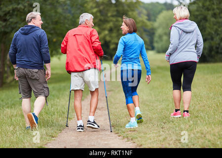 Gruppe von aktiven Senioren als Freunde Nordic Walking in der Natur Stockfoto