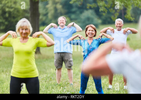 Gruppe von Senioren Gymnastik Kurs für Gesundheit und Fitness im Park Stockfoto