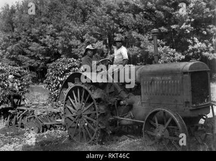 Afrika, Kenia, in der kaffeeplantage Pflügen, 1930 Stockfoto