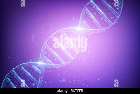 Drahtmodell DNA-Moleküle Struktur mesh Low Poly bestehend aus Punkten, Linien und Formen auf dunkel lila Hintergrund. Wissenschaft und Technologie Konzept Stock Vektor