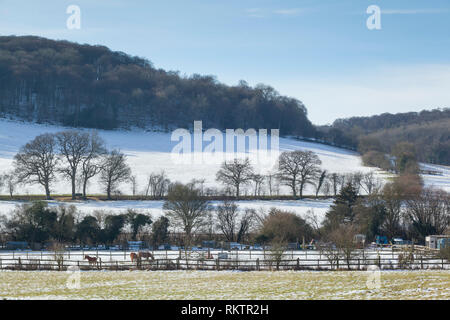 Pferde weiden im Schnee bedeckt die Felder in der Nähe von Turville, Buckinghamshire. Stockfoto