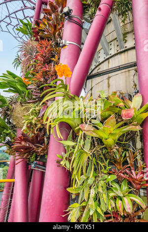 Vertikal gepflanzte supertrees bei Tag, Gardens by the Bay, Singapur Stockfoto