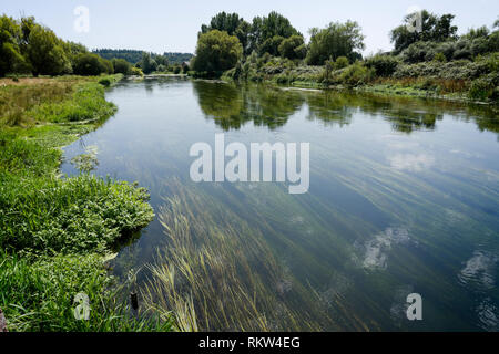 Die alte Wassermühle und den Fluss Avon auf Breamore auf der Hampshire Wiltshire boarder am Rande des New Forest, England, UK. Stockfoto