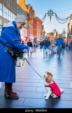 Ein Hund wartet auf eine Behandlung in einer geschäftigen Stadt Centre Street. Stockfoto