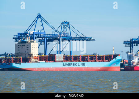 Die Venta Maersk Container schiff in 2018 gebaut in Felixstowe gesehen. Stockfoto