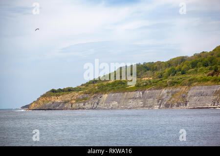 Die Chippel Bucht und die Klippen des Liassic Felsen mit der Monmouth Beach als vom Cobb Hafen gesehen (Lyme Regis). West Dorset. England Stockfoto