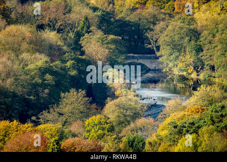 Eine Brücke über den Fluss Derwent bei Calver in einem bewaldeten Tal liegt. Stockfoto