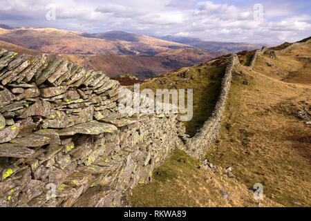 Lange gewundene, trockene Steinmauer nach den Ufern von Lingmoor Fell, Langdale, Lake District, Cumbria, England, UK Stockfoto