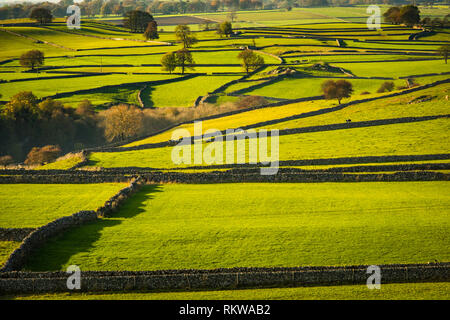 Kleine Felder von Trockenmauern getrennt sind ein Merkmal der Landschaft im Peak District. Stockfoto