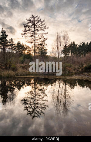 Cleddon Naturpark Moor in der Nähe von Trellech. Stockfoto