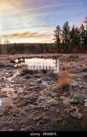 Cleddon Naturpark Moor in der Nähe von Trellech. Stockfoto