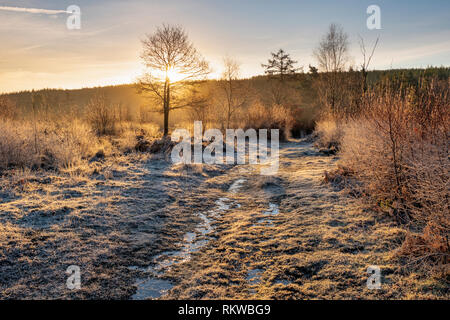 Cleddon Naturpark Moor in der Nähe von Trellech. Stockfoto