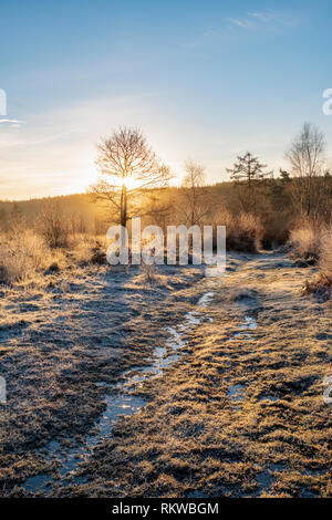 Cleddon Naturpark Moor in der Nähe von Trellech. Stockfoto