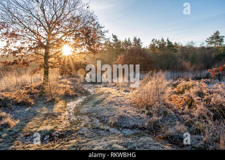 Cleddon Naturpark Moor in der Nähe von Trellech. Stockfoto