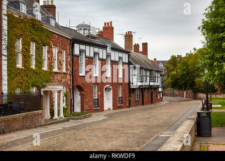 Die Wohnhäuser mit Efeu über Wand auf dem Cathedral Yard Straße im Bereich der Kathedrale von Exeter schließen. Exeter. Devon. England Stockfoto