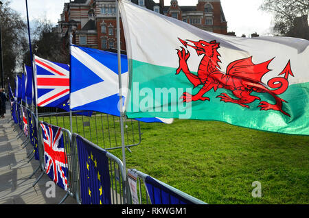 Westminster, London, Großbritannien. 12. Feb 2019. Politiker rund um College Green, Westminster. Die anti-Brexit SODEM Kampagne flags flying Credit: PjrFoto/Alamy leben Nachrichten Stockfoto