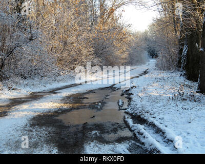 Schnee bedeckt Straße in die Landschaft nach dem Schneefall, schlammigen Straße in sonniger Tag. Winterlandschaft mit ländlichen Off-road, Gefrorene Pfützen im Wald Stockfoto