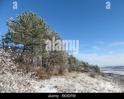 Winter Wald, malerische Landschaft mit Schnee bedeckt Pinien in den Bergen. Malerische Natur mit Märchen Nadelwald, Stadt im Tal Stockfoto