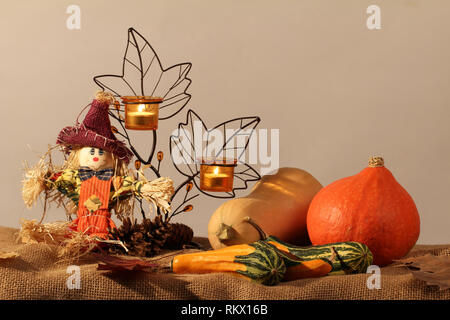 Herbst noch Leben/verschiedene Gemüse auf dem Tisch Stockfoto