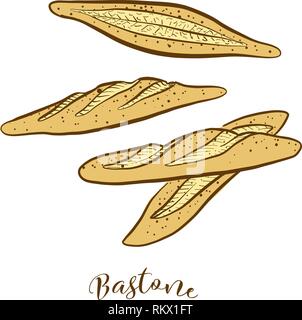 Farbige Skizzen von bastone Brot. Vektor Zeichnung von Hefe Brot essen, in der Regel in Italien bekannt. Farbige Brot Abbildung Serie. Stock Vektor