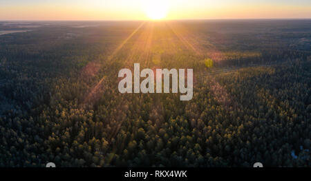 Antenne Sonnenuntergang im Wald Stockfoto