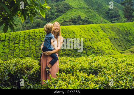 Mutter und Sohn sind Reisen auf einer Teeplantage in Malaysia. Reisen mit Kindern Konzept Stockfoto