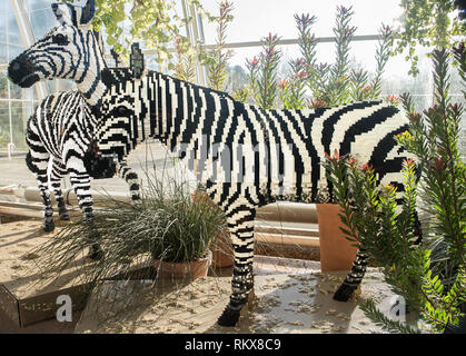 Lebensgroße lego Modelle von Zebra an "Die große Ziegel Safari' 2019 an der RHS Wisley Garden, Surrey Stockfoto
