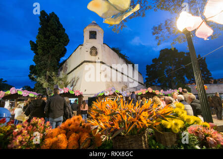 Der Palacio de Sao Lourenco in der Avenida Arriaga auf der Festa da Flor oder Spring Flower Festival in der Stadt von Funchal auf der Insel Madeira in t Stockfoto