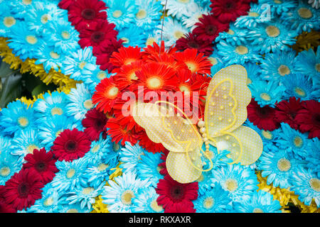 Bunte Blumen an der Festa da Flor oder Spring Flower Festival in der Stadt von Funchal auf der Insel Madeira im Atlantischen Ozean von Portugal. M Stockfoto