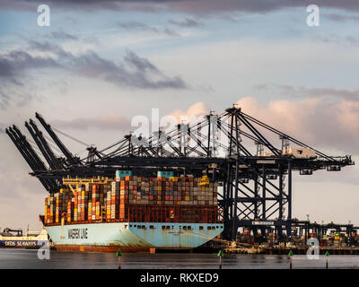 Der internationale Handel - Container Versand Wird geladen und von einem Maersk Container schiff Entladen im Hafen von Felixstowe, Großbritannien. Stockfoto