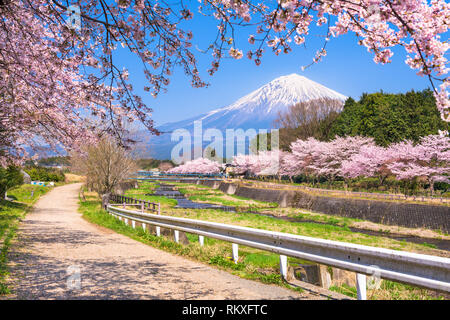 Mt. Fuji gesehen aus ländlichen Präfektur Shizuoka im Frühjahr Saison. Stockfoto