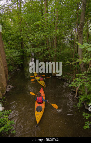 Menschen Paddeln in Kanus auf einem Bach Anschließen der Schwentine Fluss mit der Gröberen Plöner See oder Großen Plöner See, Plön, Schleswig-Holstein, Deutschland Stockfoto