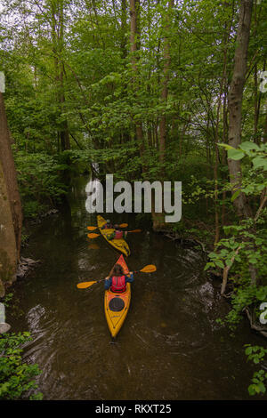 Menschen Paddeln in Kanus auf einem Bach Anschließen der Schwentine Fluss mit der Gröberen Plöner See oder Großen Plöner See, Plön, Schleswig-Holstein, Deutschland Stockfoto