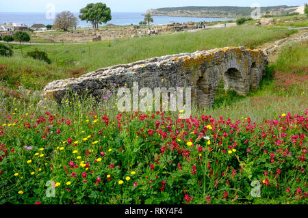 Ein Blick auf die üppigen Wilde Blumenwiese und römischen Ruinen von Baelo Claudia, hinter dem Strand in der Bucht von Bolonia an der Costa de la Luz, Spanien. Stockfoto