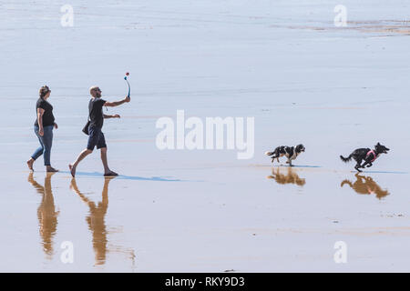 Hund Wanderer Werfen einer Kugel für ihre Hunde auf den Fistral Beach in Newquay in Cornwall. Stockfoto